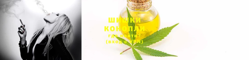 крисы Беломорск
