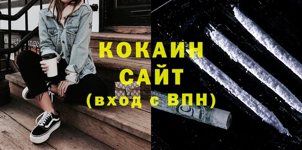 индика Белокуриха