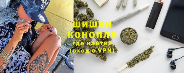 индика Белокуриха