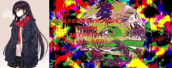 a pvp Богородицк