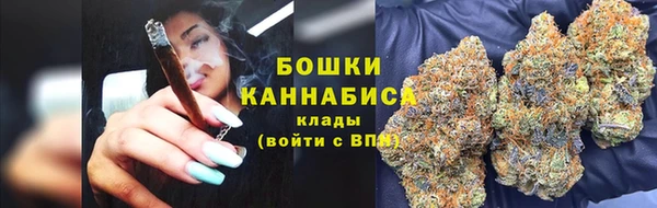 сатива Баксан