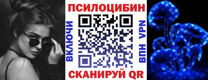 Купить где  Ленинск  Галлюциногенные грибы мицелий 